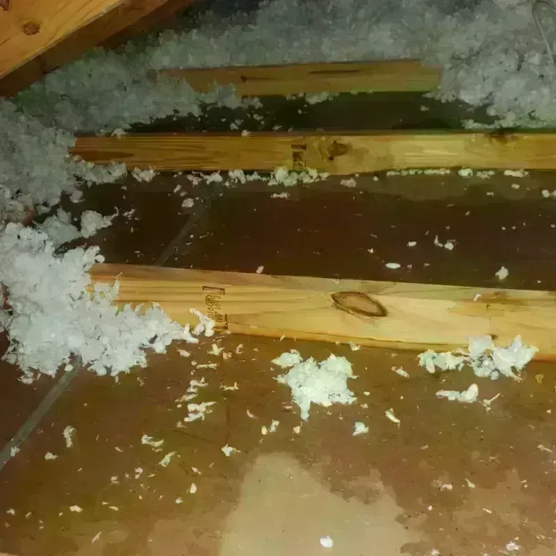 Attic Water Damage in West Slope, OR